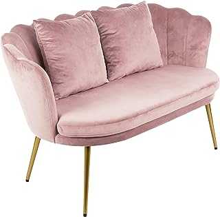 RayGar Genesis Flora 2 Seater Sofa Loveseat Couch With Golden Chrome Finish Metal Tube Legs (Silver Pink)