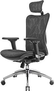 SIHOO Ergonomic Office Chair Mesh Desk Chair with Adjustable Lumbar Support 3D Armrests Breathable High Back Computer Chair (Black)