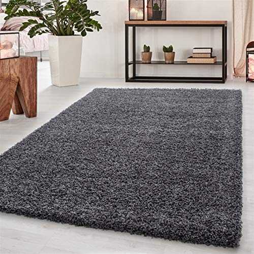 Abaseen Small Large Shaggy Modern Rug in 12 Different Colour and 4 Different Sizes (Dark grey, 120x170 cm)