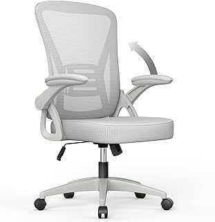 naspaluro Ergonomic Desk Chair with 90° Flip-up Armrest Lumbar Support, Height Adjustable, Executive Swivel Computer Chair with Padded Seat Cushion for Home/Office-Grey