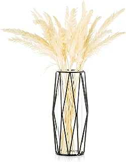 Glass Flower Vase with Geometric Metal Rack Stand, Modern Vase for Pampas Grass Rose Tulips, Centerpiece for Living Room Dining Table Wedding, Black, 26cm Height