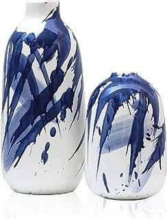 HAMIIS Clothes Steamer Blue and White Ceramic Decorative Vases with Aquarelle