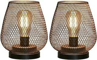 JHY DESIGN Set of 2 Metal Cage Table lamp Battery Powered, Cordless Accent Light with LED Edison Style Bulb for Bedroom Home Weddings Parties Patio Indoors Outdoors Valentine's Day(Egg Shape)