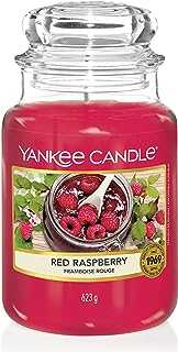 Yankee Candle Scented Candle | Red Raspberry Large Jar Candle | Long Burning Candles: up to 150 Hours | Perfect Gifts for Women